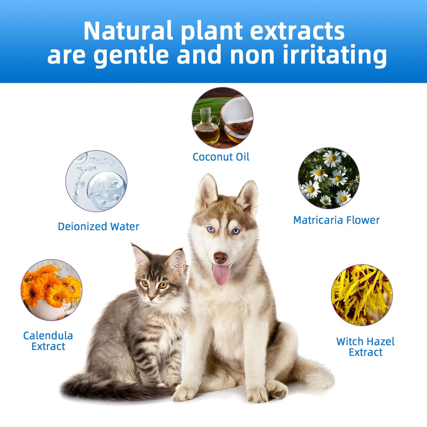 Gentle Pet Ear Wash for Dogs & Cats | Wax, Dirt & Odor Care