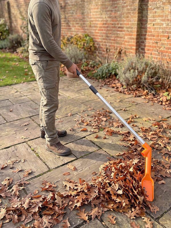 Patio Edges