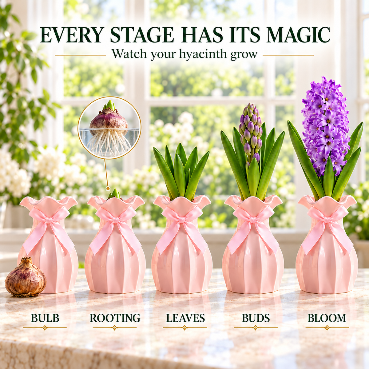 Hyacinth Bulb & Vase Gift Set – A Gift That Grows and Blooms🎁