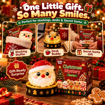 🔥 Limited-Time 49% OFF 🎄 Christmas Mystery Dumpling Squishy Blind Box 🎁 Cute Holiday Surprise Gift