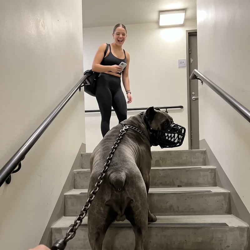 HELLBREED Dog Muzzle