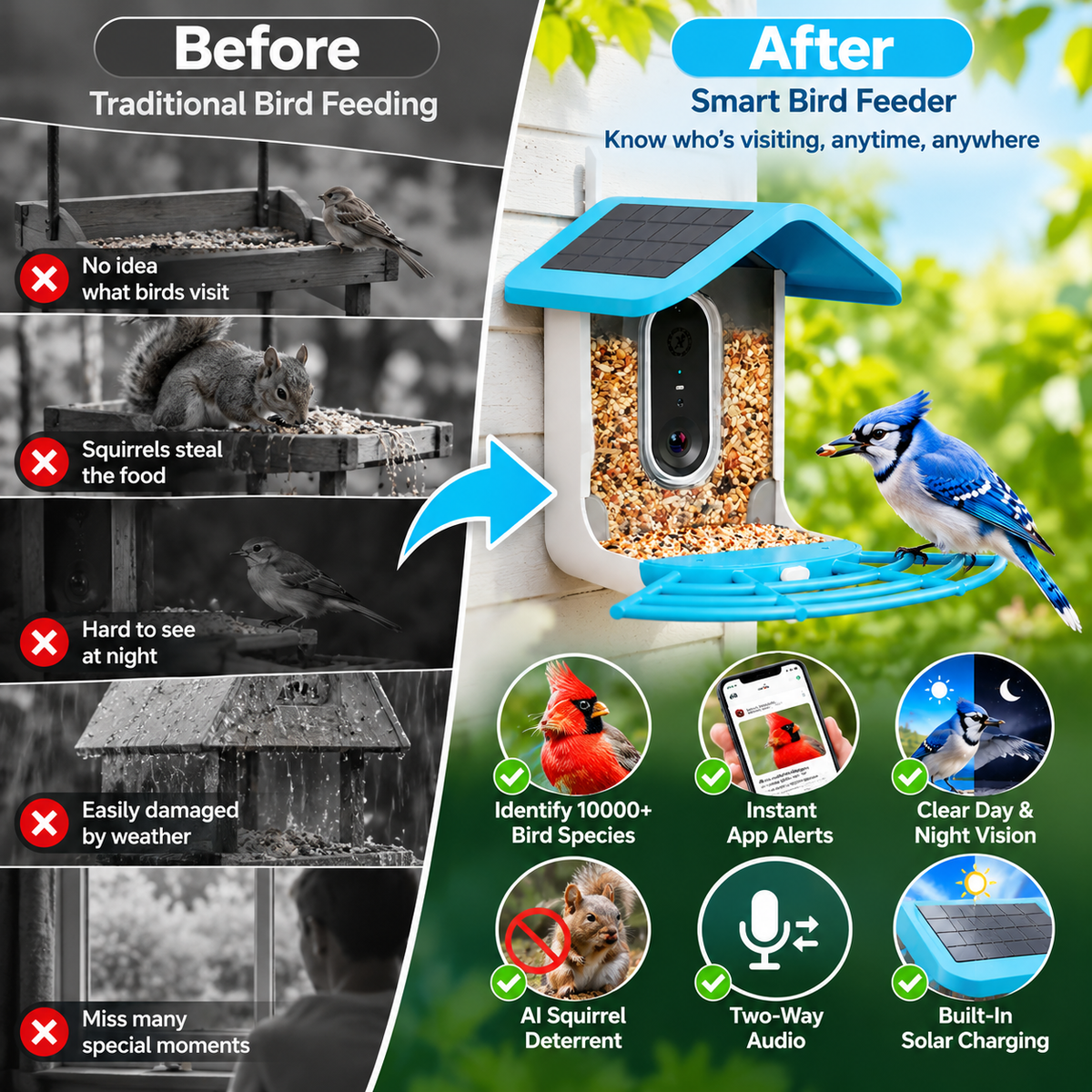 🔥Limited Time 50% OFF🦜Smart Bird Feeder - AI Bird Recognition, High-Definition Camera Monitor, Solar-Powered Pet Feeder