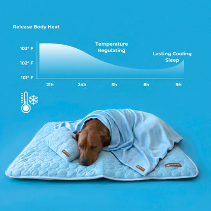 Pelsbarn Cooling Mat Bundle
