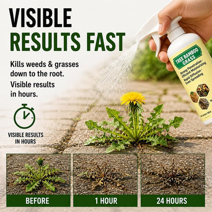 🌿🔥Fast-acting Natural Weed & Grass Killer Spray
