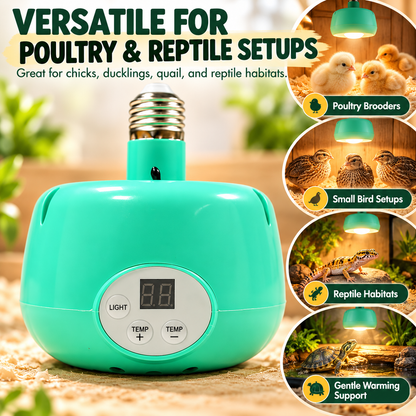 🐥Limited Time 50% OFF! 🌡️ Intelligent Temperature Control Brooder Heater – Even Warm Air, Easy Install, Safe Housing ✨