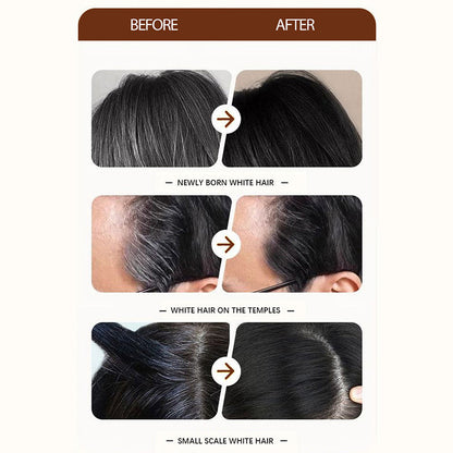 🥳2026 HOT SALE🥳💞50K+ SOLD!🎨🪥 50% OFF! Disposable Hair Color Refill with Comb – No mix, just comb. Gentle formula, travel‑friendly. 3 shades: Black, Brown, Granny Gray. 🌟✨